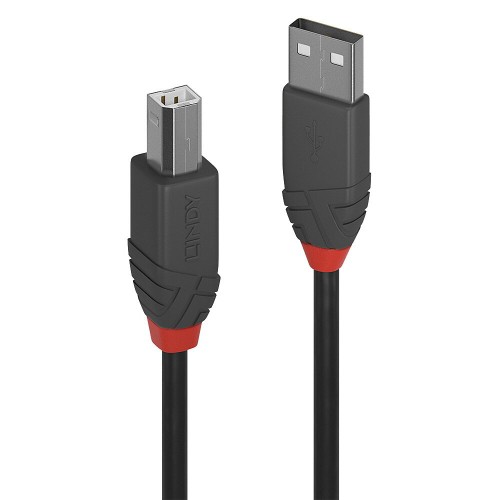 Image of CAVO LINDY USB A 2.0 TO USB B, M/M, 3MT, (TIPO STAMPANTE) "Anthra Line", NERO, 36674075