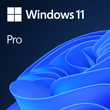 Image of MICROSOFT WINDOWS 11 Pro FPP 64-BIT ITALIAN USB HAV-00210075