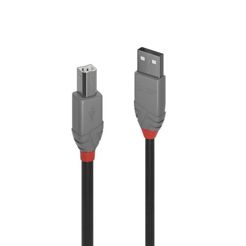 Image of CAVO LINDY USB A 2.0 TO USB B, M/M, 2MT, (TIPO STAMPANTE) "Anthra Line", NERO, 36673075